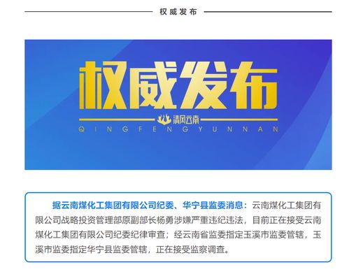 國企反腐再出重拳 云南煤化工集團原戰略投資管理部副部長楊勇接受審查調查